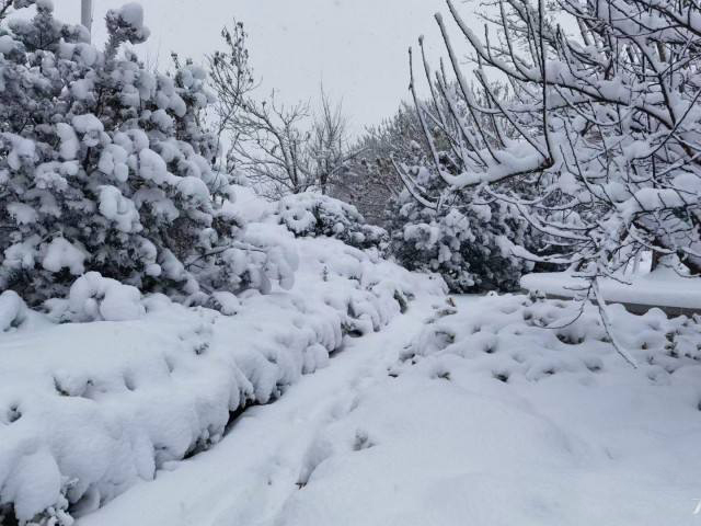 暴雪如期而至，金盾保安成最美雪景
